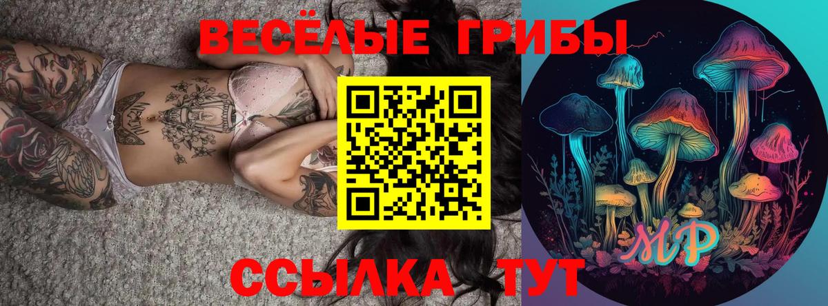 Выборг  Псилоцибиновые грибы мухоморы  Галлюциногенные грибы мицелий  Вход с VPN 