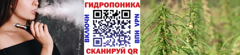 Шишки марихуана конопля  Выборг 